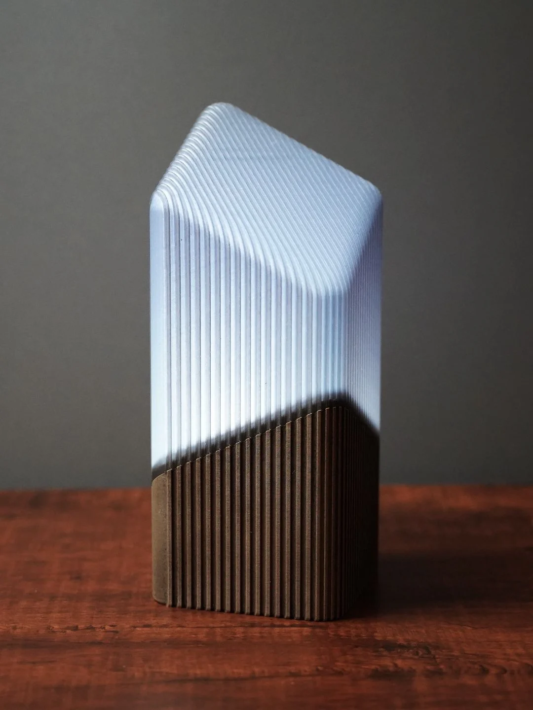 Lampe Moderne — Lampe décorative bicolore